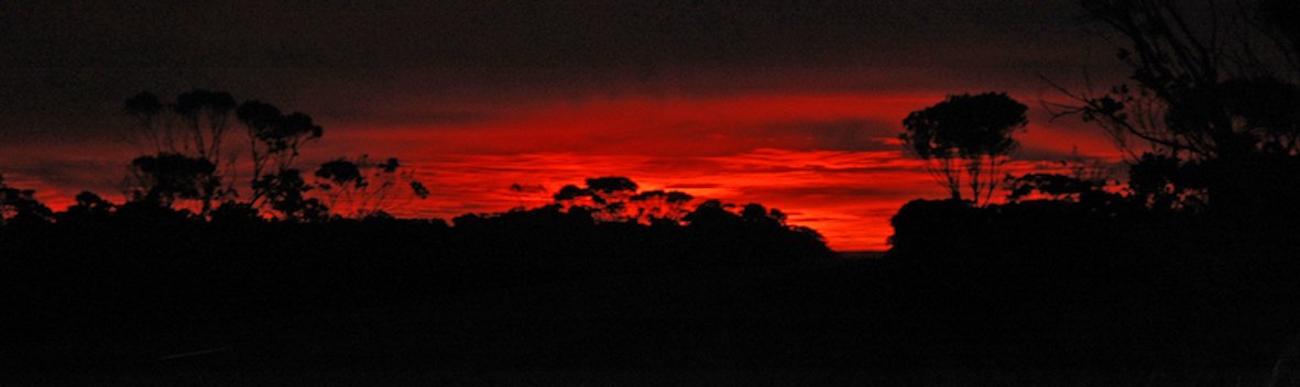Fitzgerald NP sunset
