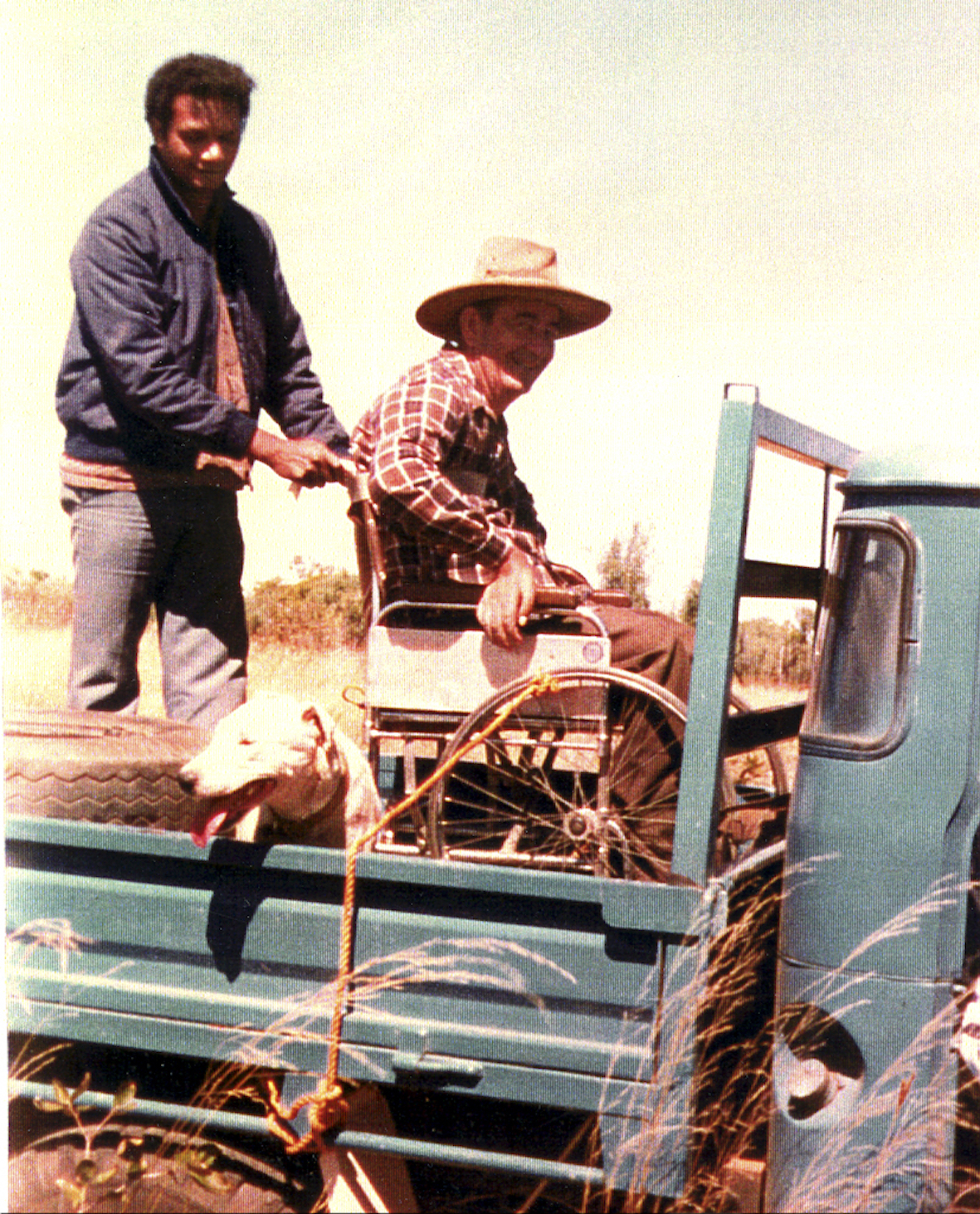 Dick on vehicle tray