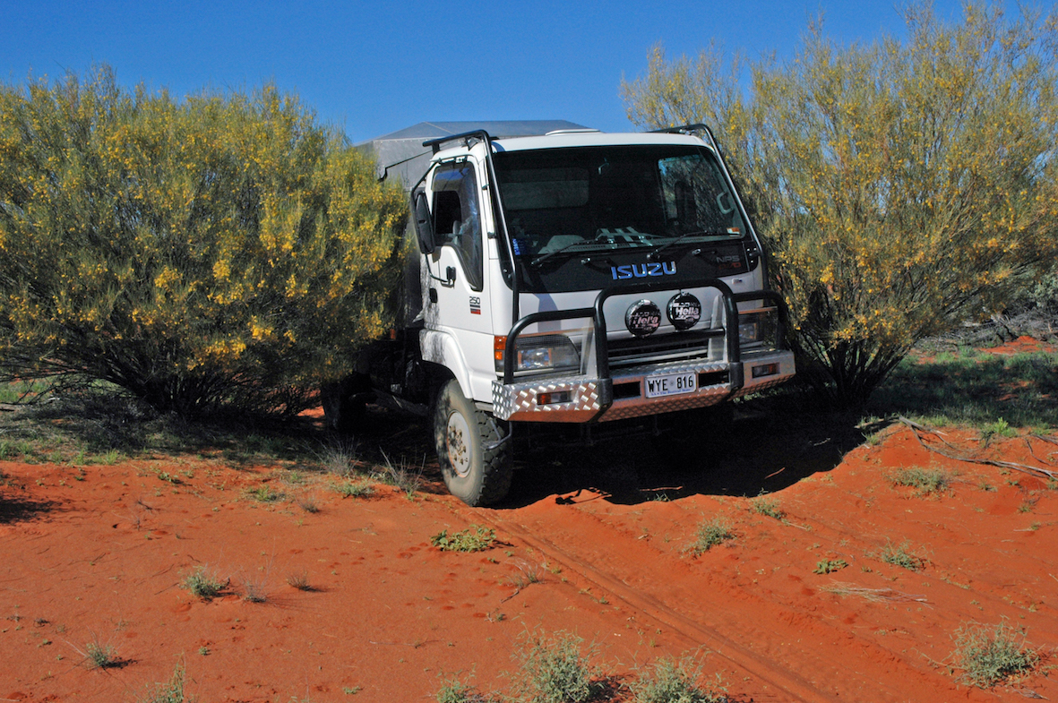 Truck forcing way though bushes