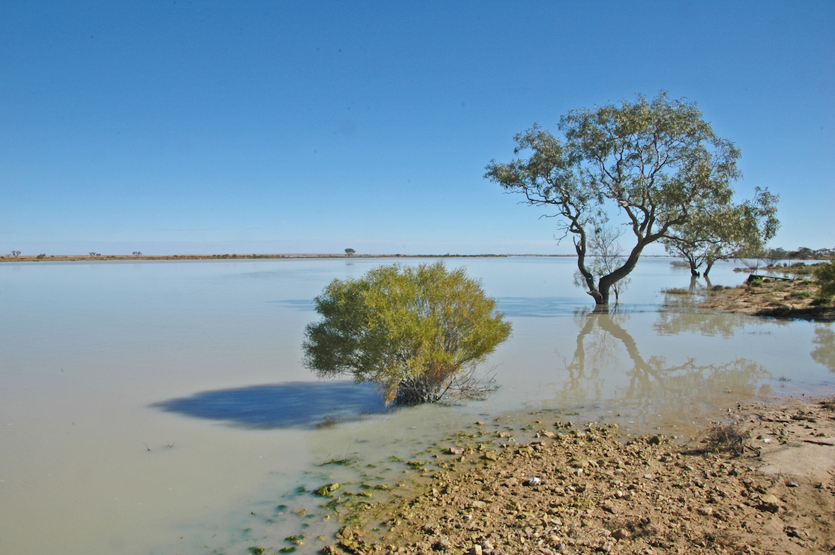 Cooper Creek in flood