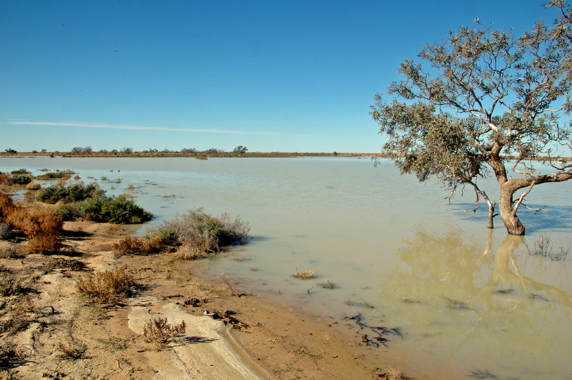 Cooper Creek at the ferry