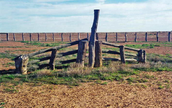 Pioneer's bronco panel