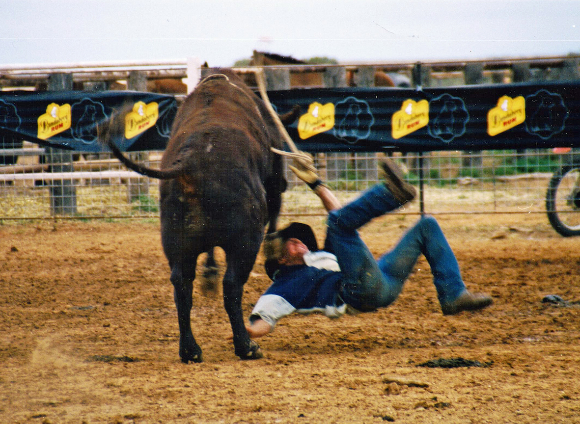 Bullock rider