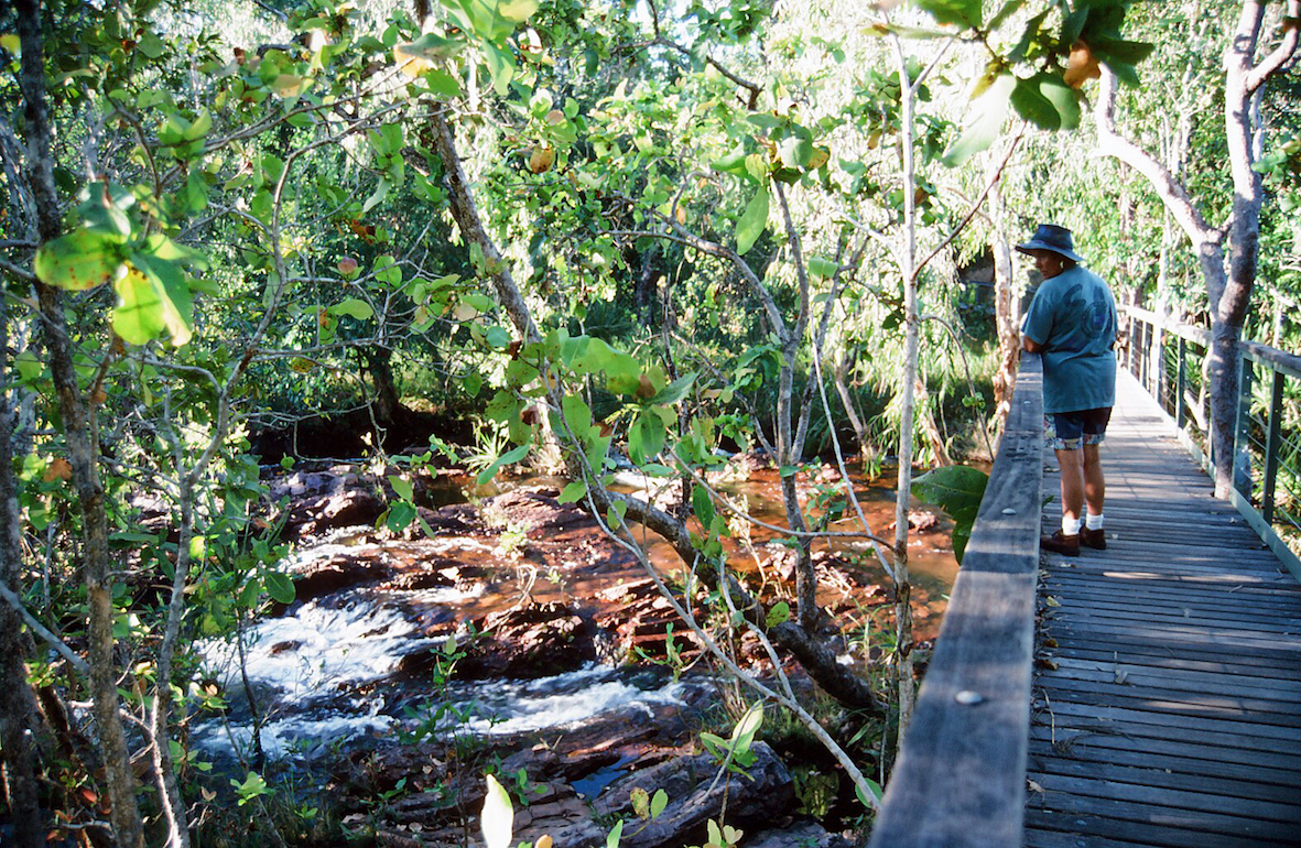 Footbridge over Wangi Falls