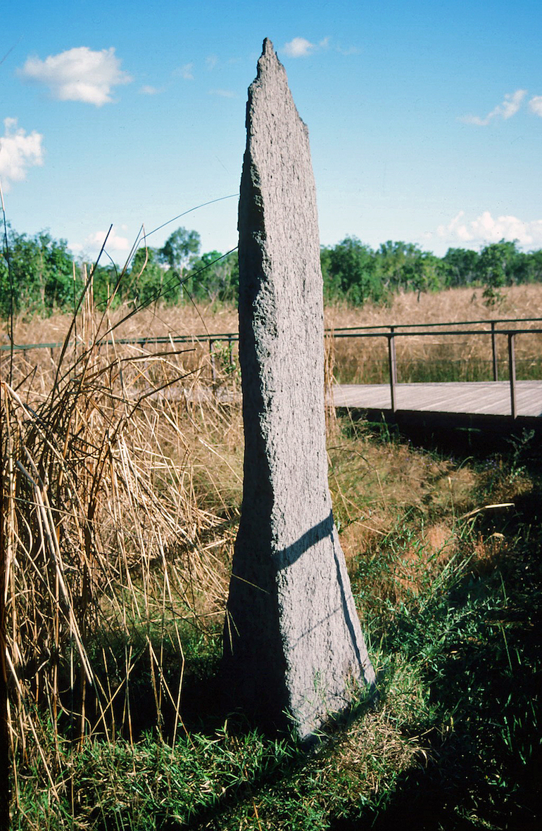 Magnetic termite mound