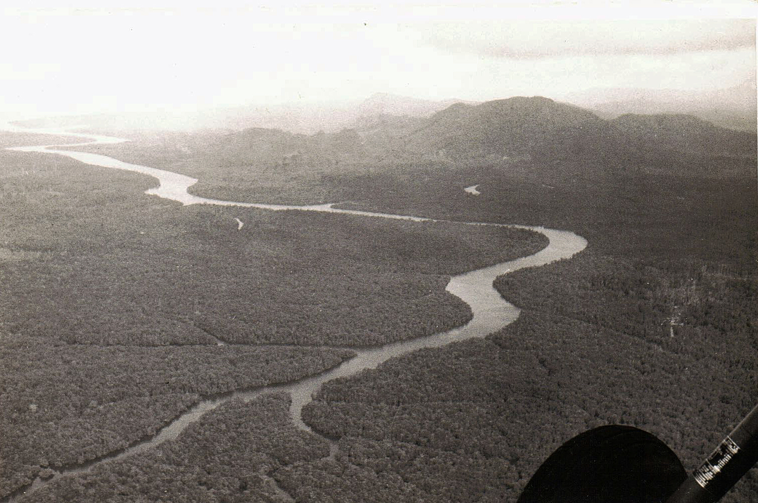 Sarawak jungle 1963